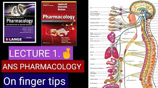 ANS pharmacology 🌹🌟🌟 Lecture 1 Cholinergic receptors adrenergic receptors autonomic nervous sy [upl. by Ymma621]