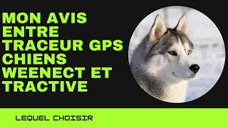 Comparaison entre traceur weenect dogs 2 et tractive gps dog 4 [upl. by Hewitt]