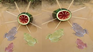 Survival Skills SIMPLE And Very USEFUL with Water Melon bushcraft outdoor camping [upl. by Schuler]