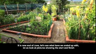 Happy Vegetable Seed Growing in Northern Portugal 2014 [upl. by Einnal]