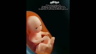 Quran surah Alteen By Paradise world yt short [upl. by Timmi430]