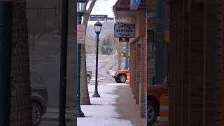 Elk Herd in Downtown Estes Park Colorado [upl. by Airottiv98]