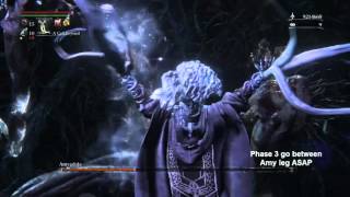 Cheesing Yharnam  Arcane build vs Defiled Amygdala [upl. by Hum802]