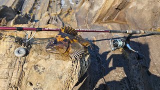 Rock Fishing the Central Coast [upl. by Asenav]