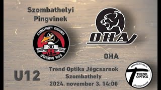 U12 172 Szombathelyi Pingvinek  OHA 20241103 [upl. by Camus587]