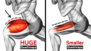 Best Exercises Quadriceps To Get Wide Leg Workout [upl. by Helsell]