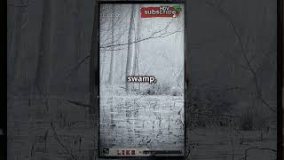 The Haunting Legend of The Swamp of Sobiek horrorstories scary incrediblefacts scarystories [upl. by Anirres]