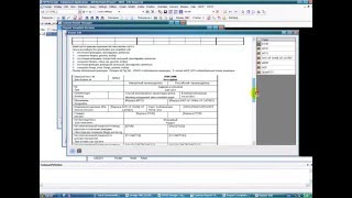 Aveva Design Customziation DataSheet for Valves with Custom Report Manager Version1 [upl. by Grane197]