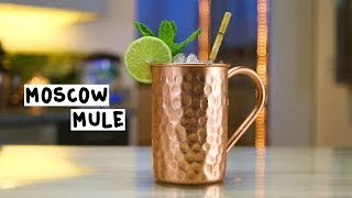 Moscow Mule  Tipsy Bartender [upl. by Yusem]