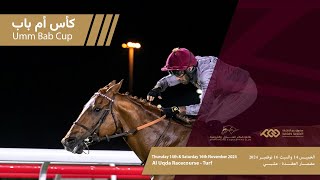 4th Al Rayyan Race meeting  Umm Bab Cup Div 2 [upl. by Emixam852]