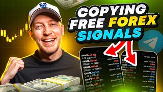 Copy Trading the BEST FREE Forex Signals on Telegram LIVE [upl. by Retsevlis]