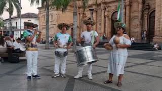 tamborita tiluchi en la plaza 24 de septiembre [upl. by Nwahsat636]