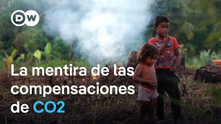 De la reforestación a la compensación de CO2 los sucios trucos de las empresas  DW Documental [upl. by Saunders]