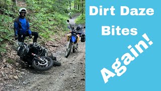 Dirt Daze 2023 bites another rider on the trail [upl. by Enaej808]