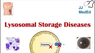 Lysosomal Storage Diseases  Overview and What You Need to Know [upl. by Price]