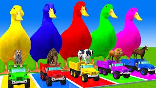 5 Giant Duck CartoonCowMammothTigerLionDinosaurPaint Wild Animals Crossing Fountain Animation [upl. by Can]