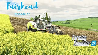 Wholecrop silage will it bring us more money Fairhead Ep37 fs22 [upl. by Louisa603]