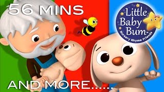 Learn with Little Baby Bum  BINGO Part 2  Nursery Rhymes for Babies  Songs for Kids [upl. by Nesnaj913]