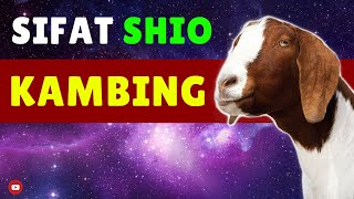 Kamu 🐐 SHIO KAMBING Tonton WATAK amp SIFAT Shio Kambing di Video ini [upl. by Gem]