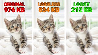 What Is the Difference in Lossy vs Lossless Compression [upl. by Zaria474]