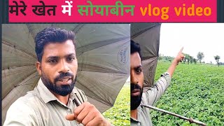 kheti vlog video daliyvlog video gaon me waskale bolte hai vlogs trending vlog [upl. by Rollins]