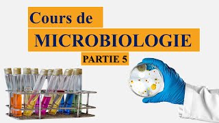 cours de microbiologie partie 5  la taxonomie bactérienne  nomenclature des microorganismes [upl. by Anidam78]