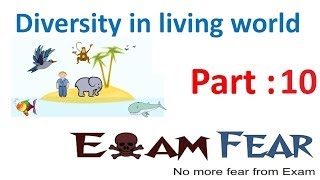 Biology Diversity in Living World part 10 Order class phylum div kingdom CBSE class 11 XI [upl. by Adyeren]