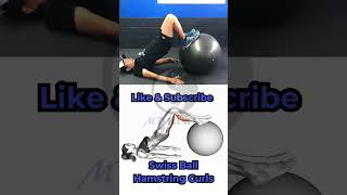 Bulletproofing Your Hamstrings [upl. by Adnhoj]