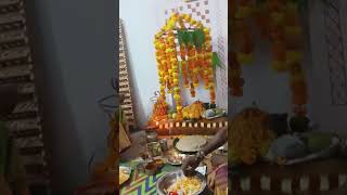 Diwali Nomu [upl. by Pincus]