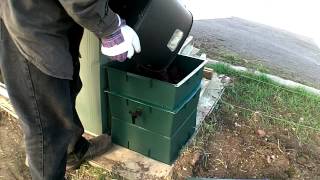 Installing The Wormery Allotment Day 23 [upl. by Eerized852]