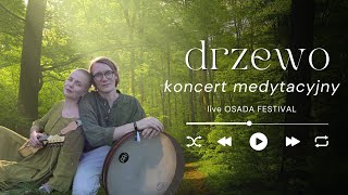 koncert medytacyjny  drzewo podczas OSADA FESTIVAL 2024 STADO Święto Wiosny i Kwiatów [upl. by Sesom970]