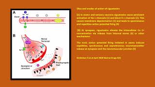 Neurology Quiz 85 Marine neurotoxins [upl. by Neils]