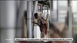 Insolite  il voyage dans les trains datterrissage de lavion [upl. by Bovill666]