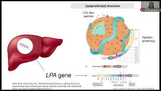 Lipoproteina An ASCVD Risk Factor That Can No Longer Be Ignored [upl. by Claiborn]