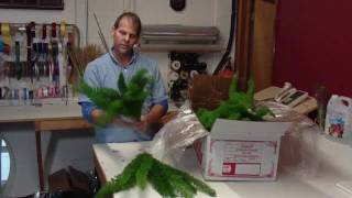 How To Prepare Florida Foxtail Fern  lwflowerscom [upl. by Ikik]