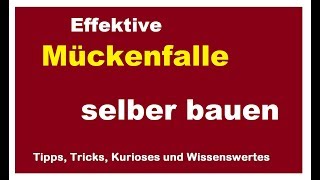 Effektive Mückenfalle selber bauen  Mücken Obstfliegen Fliegen Stechmücken Falle [upl. by Akins]