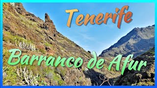 Barranco de Afur ParqueRuralDeAnaga Teneife SantaCruzDeTenerife IslasCanarias CanaryIslands [upl. by Brandie]