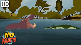 Creature Battles  Every Creature Showdown Part 1  Wild Kratts [upl. by Los542]