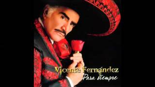 Vicente Fernandez El ultimo en la fila [upl. by Ymmij]