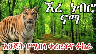 ኧረ ነብሮ ናማ  ቀረርቶ  ፋከራ  ሽለላ  Fukera  shilela kererto [upl. by Selin]