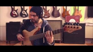 Daniele Camarda  Manne Woody bass project  the story [upl. by Nylemaj183]