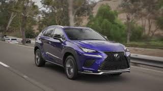 2018 Lexus NX Vehicle Details and Walk Around [upl. by Lorain]