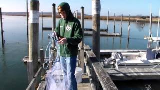 How To Consistently Throw An 8 Foot Cast Net  Perfect Method [upl. by Huggins]