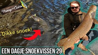 EERSTE DIKKE SNOEK VAN 2023  Een dagje snoekvissen 29 [upl. by Lorrin]