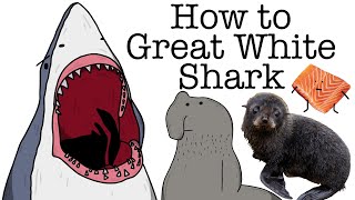 Your Life as a Great White Shark [upl. by Mariele]