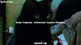 Seda Tripkolic Gözlerinin Yeşilini Özledim speed up [upl. by Weixel]