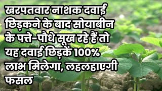 खरपतवार नाशक दवाई के साइड इफेक्ट से सोयाबीन को कैसे बचाएं  Herbicides side effects recover soybean [upl. by Arrik]