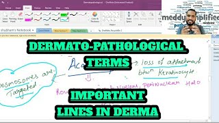 DermatoPathological Terms  Imp lines in derma  Acantholysis  Microabscess  Lines of Blaschko [upl. by Ellynad]