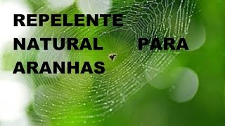 Repelente Natural para Aranhas [upl. by Korwun171]