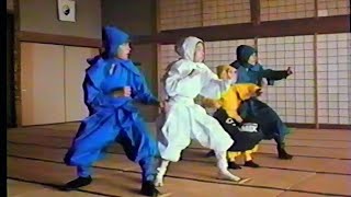 3 NINJAS KICK BACK promo 1994 [upl. by Eirrac]